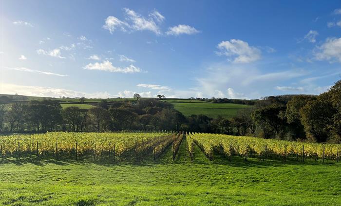 Velfrey in Autumn